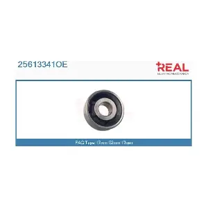 25613341OE REAL