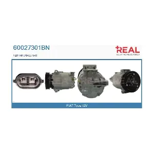 REAL 60027301BN