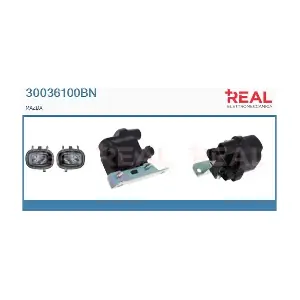 REAL 30036100BN