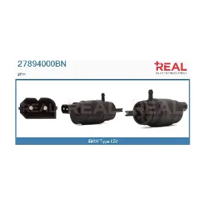 REAL 27894000BN