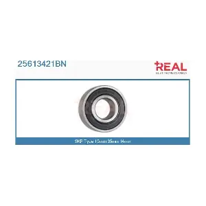 25613421BN REAL