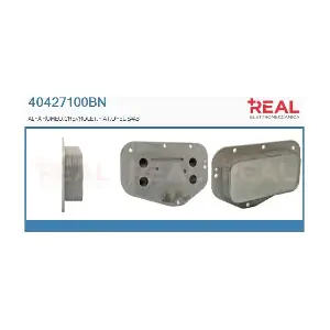 REAL 40427100BN
