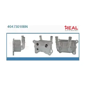 REAL 40473010BN