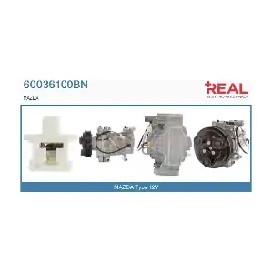 REAL 60036100BN