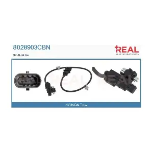 8028903CBN REAL
