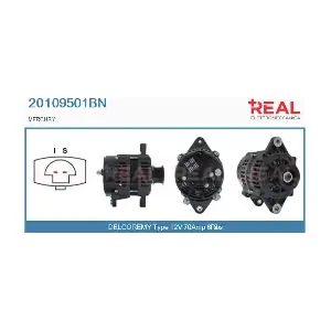 REAL 20109501BN