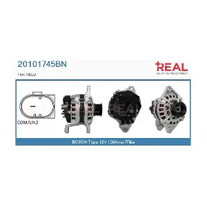 20101745BN REAL