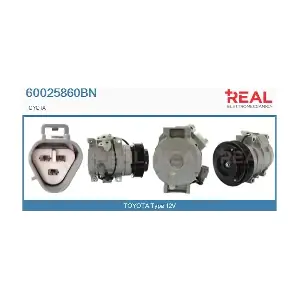 60025860BN REAL