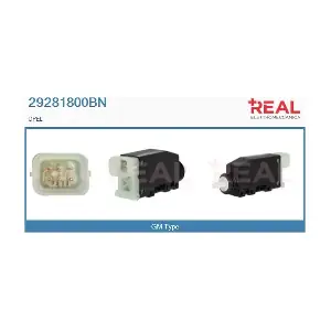 29281800BN REAL