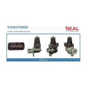 REAL 53082700BN