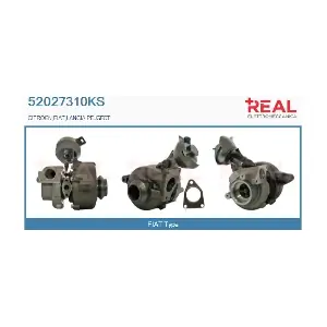 52027310KS REAL