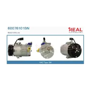 REAL 60076101BN