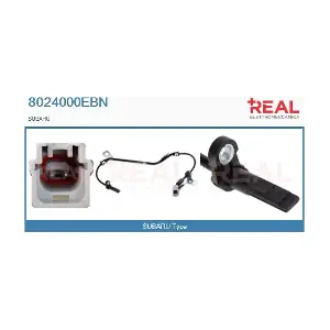 8024000EBN REAL
