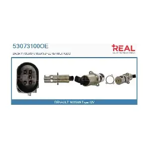 REAL 53073100OE