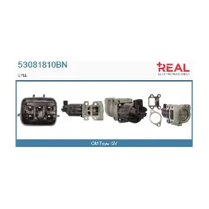 53081810BN REAL