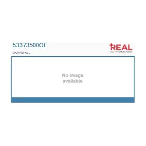 53373500OE REAL