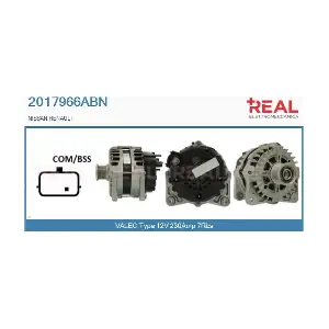 2017966ABN REAL
