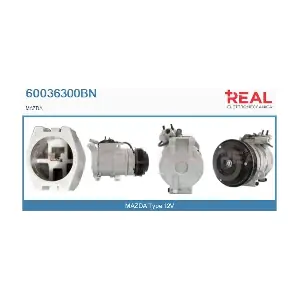 60036300BN REAL
