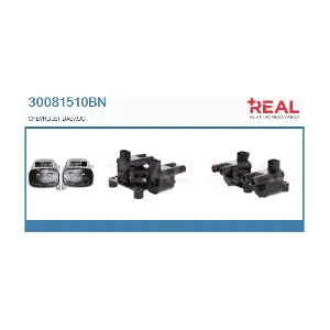 30081510BN REAL