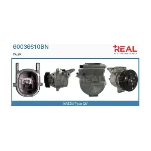 60036610BN REAL