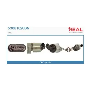 REAL 53081620BN