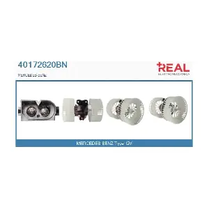 40172620BN REAL