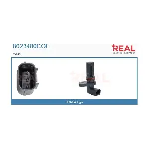 8023480COE REAL
