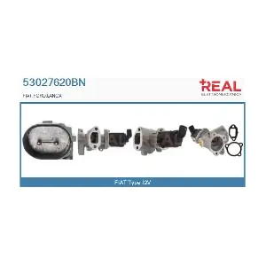 REAL 53027620BN