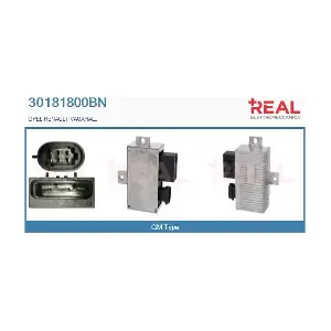 30181800BN REAL