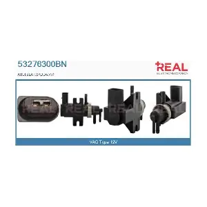 53276300BN REAL