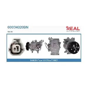 60034020BN REAL