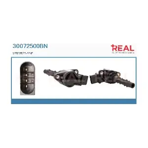 30072500BN REAL
