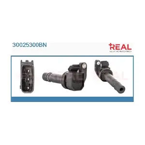 30025300BN REAL