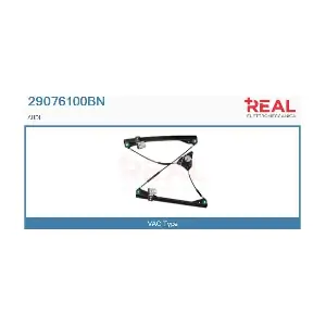 29076100BN REAL