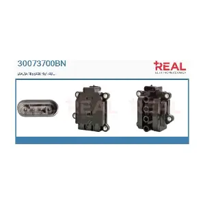 REAL 30073700BN