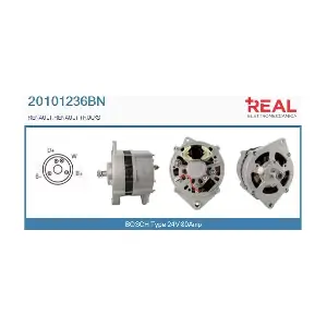 REAL 20101236BN