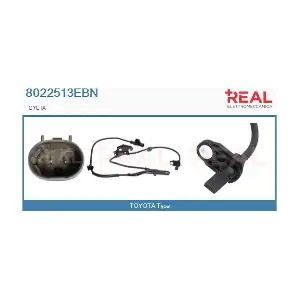 8022513EBN REAL