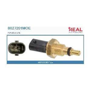 8027201MOE REAL
