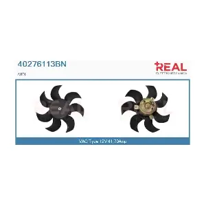 40276113BN REAL