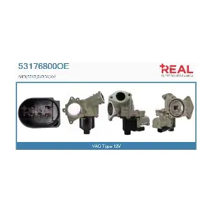 REAL 53176800OE