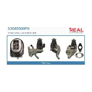 REAL 53082500PS