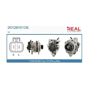 REAL 20128101OE