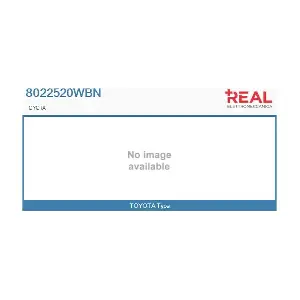 8022520WBN REAL