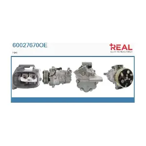 REAL 60027670OE