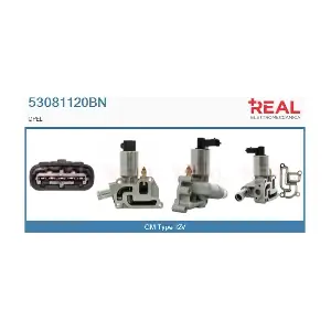 REAL 53081120BN