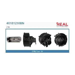 40181210BN REAL