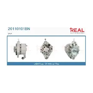 REAL 20110101BN