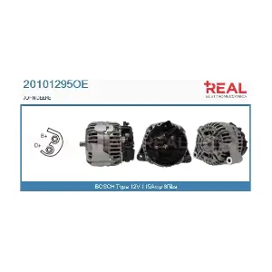 REAL 20101295OE