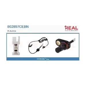 802897CEBN REAL