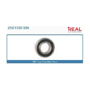 REAL 25613301BN